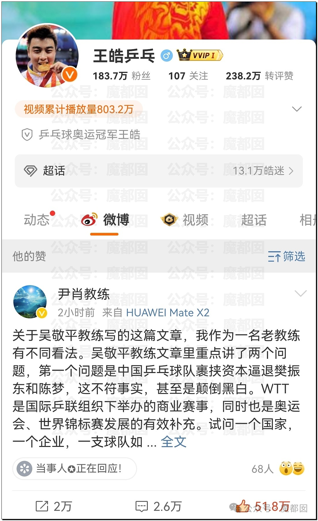 热议！国乒元老吴敬平炮轰“被资本裹挟”引发大动荡！王皓马琳下场表态（组图） - 47