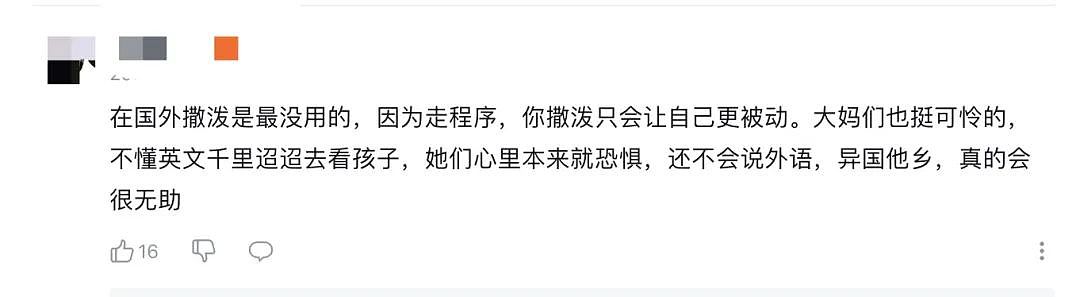 吓死！中国大妈入境澳洲怒砸海关，当场大哭晕倒，行李箱中竟被搜出这些东西…（组图） - 15