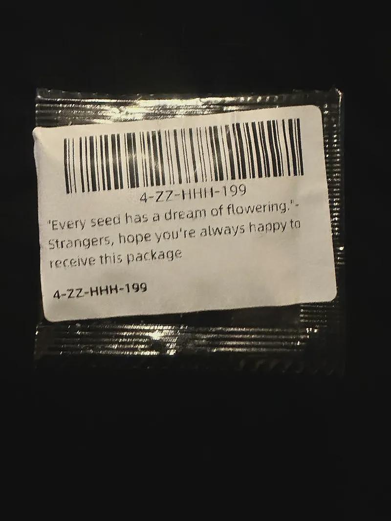 美国网友在中国某电商买了个狗玩具，却意外收到1神秘包裹！打开一看，如临大敌...（组图） - 7