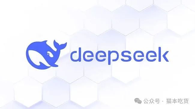 DeepSeek主要开发者竟是澳洲留学生，毕业于这两所知名大学（组图） - 8