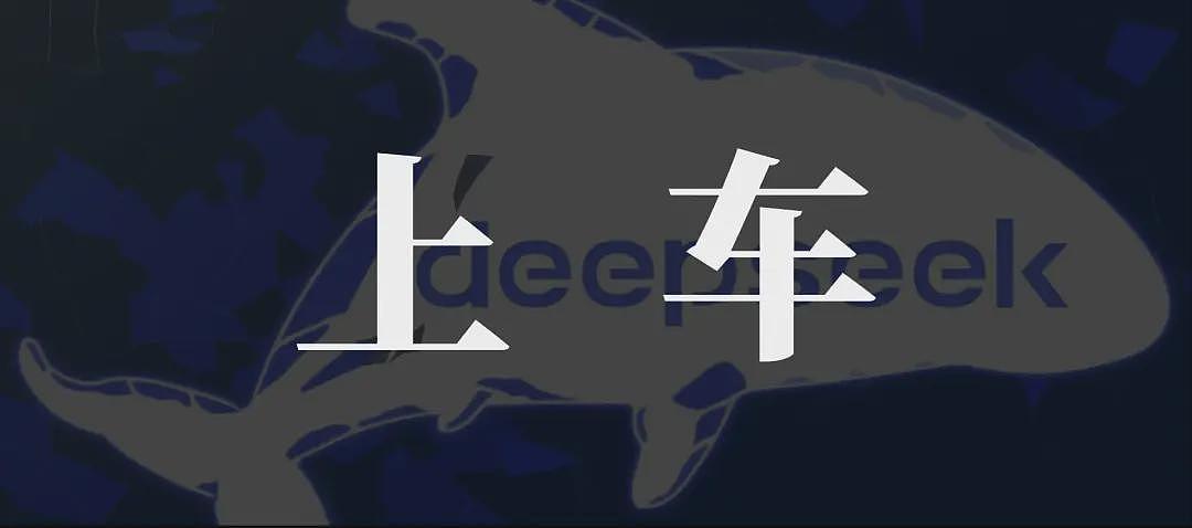 DeepSeek上车，比亚迪智能化被“救赎”（组图） - 3