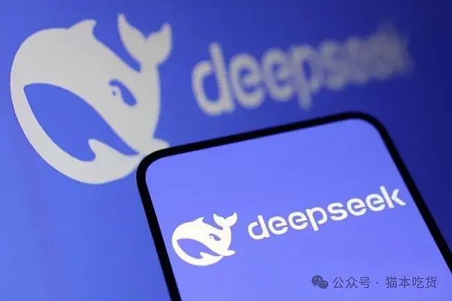 DeepSeek主要开发者竟是澳洲留学生，毕业于这两所知名大学（组图） - 4