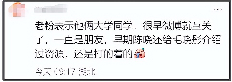 陈晓出轨毛晓彤爆料升级！两人更多互动被扒，网友直言去年已听说（组图） - 21