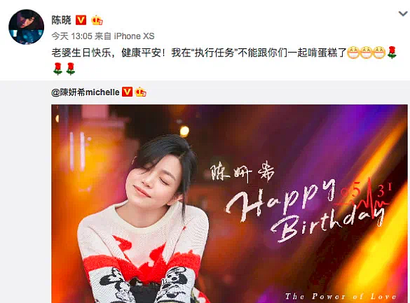 陈晓陈妍希官宣离婚，终于装不下去了（组图） - 8