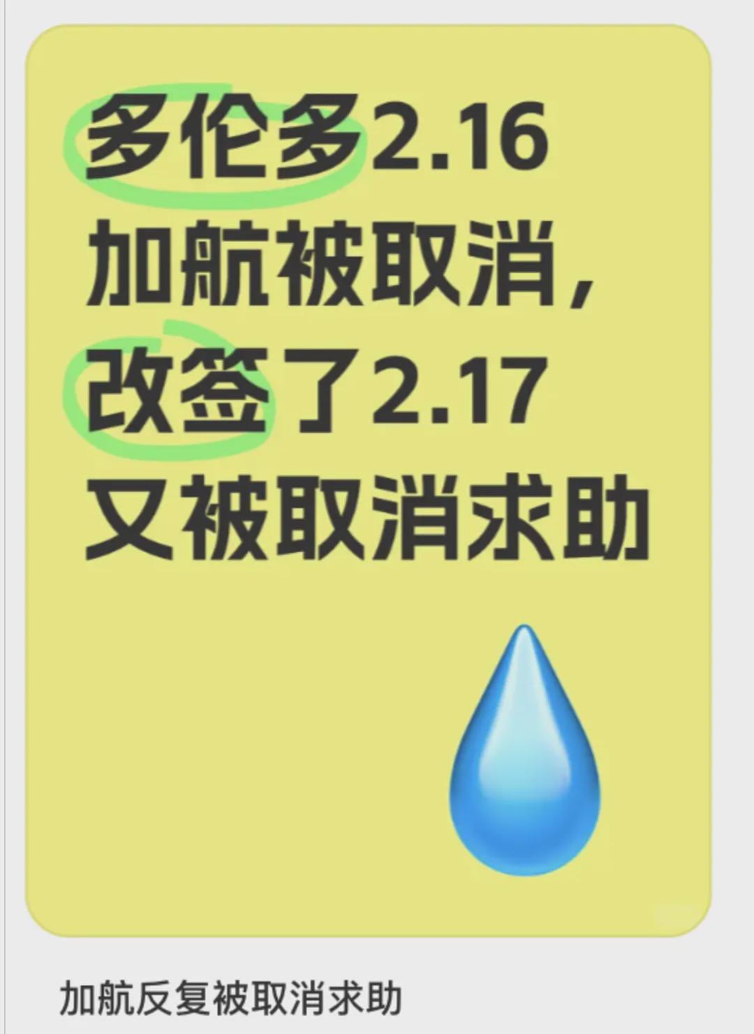 21伤！加拿大机场客机翻滚爆炸！最新细节曝光！大量航班取消，华人乘客崩溃...（组图） - 24