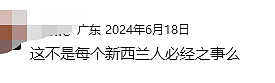 新西兰华人家庭大白天遭洗劫，一片狼藉！“连红包都被撕”，网友：都知道华人家里有钱（组图） - 17