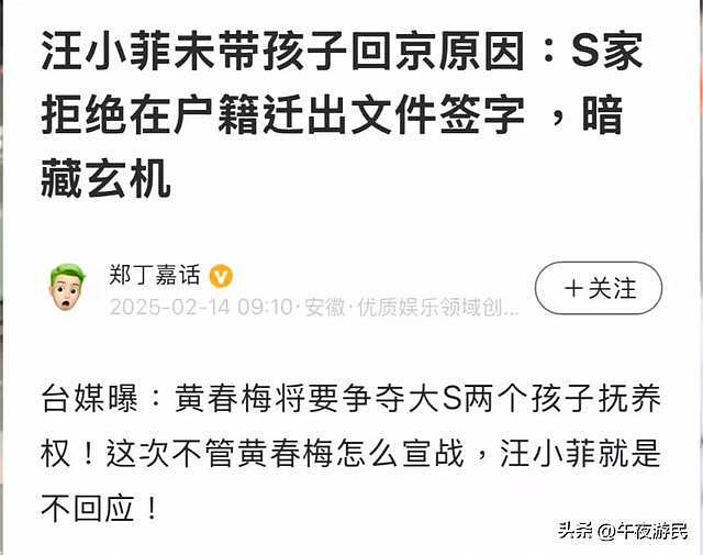 汪小菲今日再赴台！S家明确表示，想要接走孩子，先把2.5亿债还了（组图） - 14