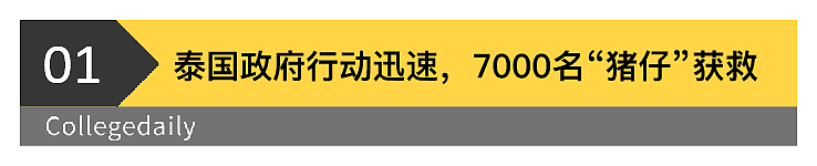 缅甸电诈基地被端了！7000人被解救！《孤注一掷》大结局了...（视频/组图） - 2