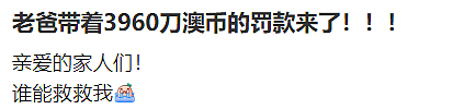 恐慌！澳洲留学生入境即被取消签证！开Uber超合法时长，手机APP暴露一切，澳洲海关检查越来越严（组图） - 10