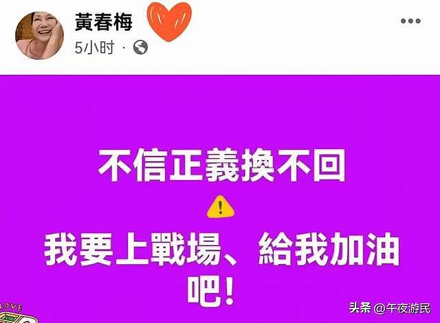 汪小菲今日再赴台！S家明确表示，想要接走孩子，先把2.5亿债还了（组图） - 7