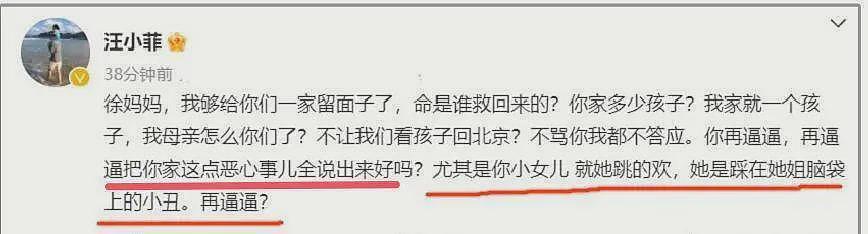 许雅钧首发声！和汪小菲正面交锋争遗产，却遭大V曝私生子近况（组图） - 11