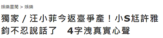 传汪小菲今日返台，许雅钧首发声回应，被曝将替大S打财产官司（组图） - 2