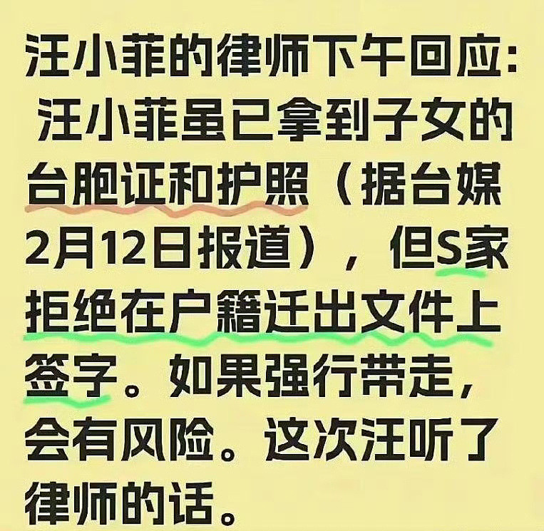 抚养权大战正式打响！S妈联手台媒追讨2.5亿元债务，汪小菲要被扒掉一层皮（组图） - 15