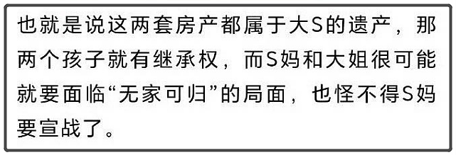 抚养权大战正式打响！S妈联手台媒追讨2.5亿元债务，汪小菲要被扒掉一层皮（组图） - 17