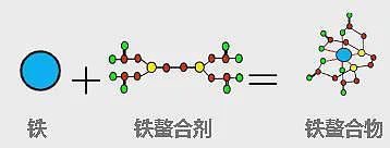 面色蜡黄显老10岁？谈“补血”养颜背后的骗局（组图） - 10