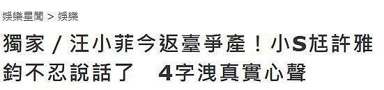 传汪小菲今日返台，许雅钧首发声回应，被曝将替大S打财产官司（组图） - 2