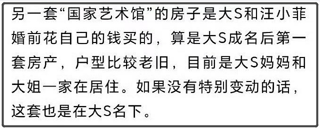 抚养权大战正式打响！S妈联手台媒追讨2.5亿元债务，汪小菲要被扒掉一层皮（组图） - 16