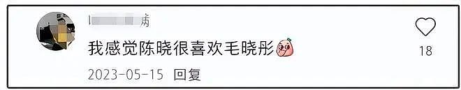 陈晓毛晓彤绯闻升级！两人更多互动被扒，网友直言去年已听说（组图） - 8