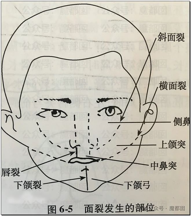 热搜第一！多位女星发文曝光郑总性侵细节，“全组女演员都被他摸过亲过”（组图） - 58