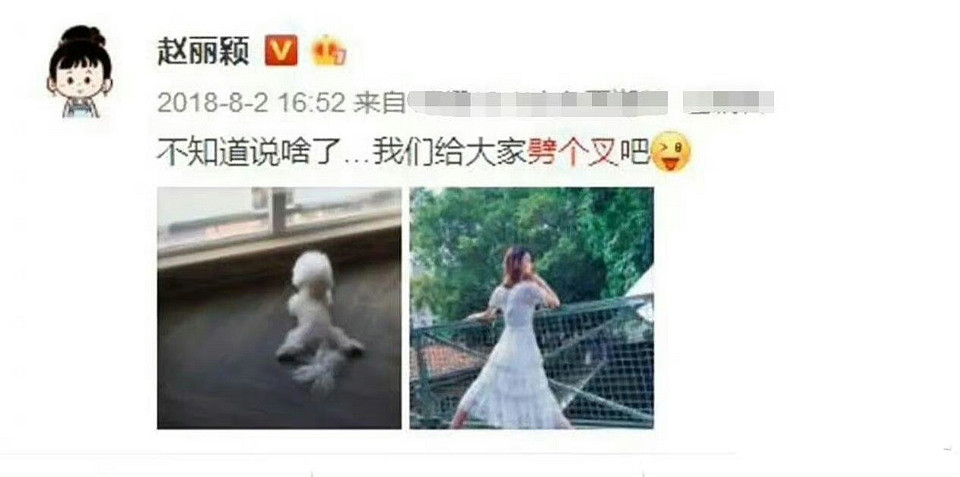 频传离婚的9对夫妇，只有刘诗诗、刘涛仍在坚持（组图） - 17