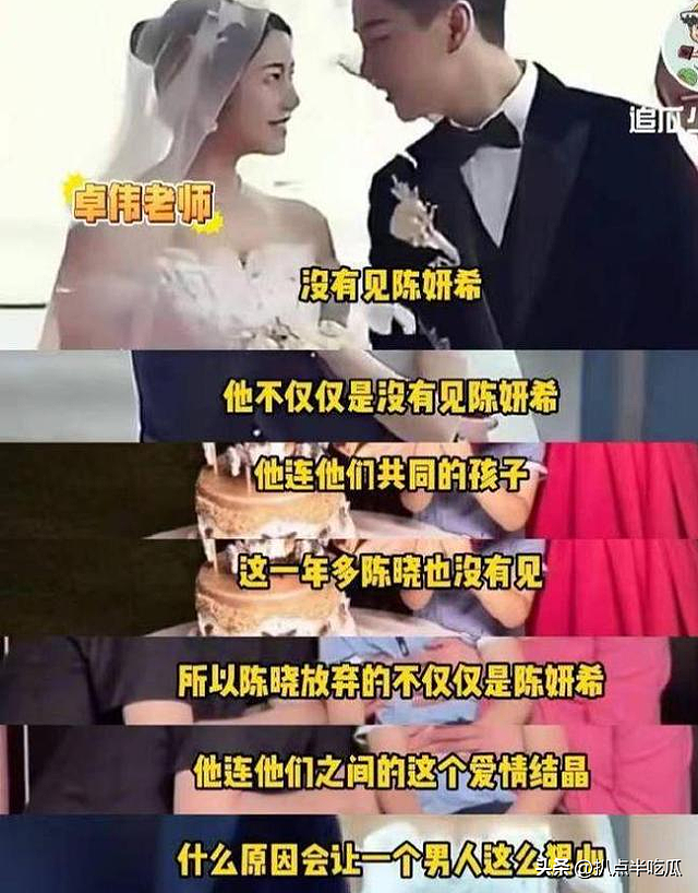 “双陈”离婚理由众说纷纭：一文读懂两人的巨大差异（组图） - 58