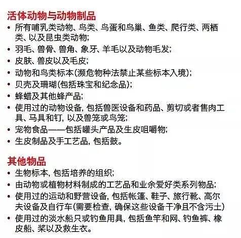 紧急提醒！澳洲海关发布中文警告： 千万别干这事！ 有多人已经被抓了...（组图） - 37