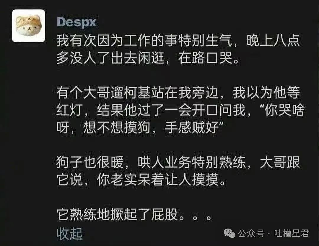 【爆笑】“打赏外卖员5元他竟然这样对我？！”网友爆哭：啊啊啊，电子善人（组图） - 85