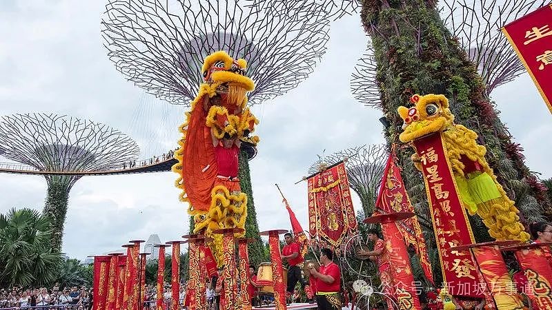 外国网友吐槽：新加坡司机太双标！对中国人态度冷漠，为日本人提供“女王”待遇…（组图） - 28