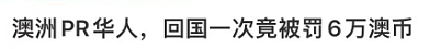 拿PR也没用！澳洲夫妻回国后返澳，被$11.6万天价税单罚懵！这些雷区千万不能踩...（组图） - 10