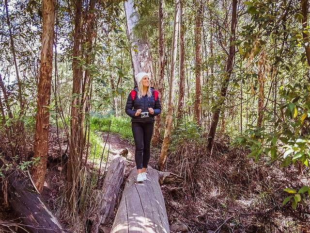 澳洲有座“失望山”，曾建数个战犯营以安置意大利俘虏（组图） - 6