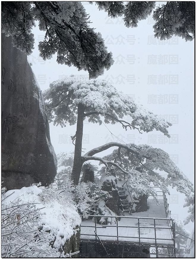 大批游客黄山爬山，不惧“急冻”，万丈摔倒画面曝；奶奶89岁，听信毒视频造谣，怕自己长寿折儿孙寿命，吞药了（视频/组图） - 2