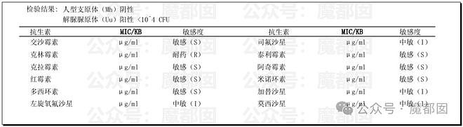 大批游客黄山爬山，不惧“急冻”，万丈摔倒画面曝；奶奶89岁，听信毒视频造谣，怕自己长寿折儿孙寿命，吞药了（视频/组图） - 37