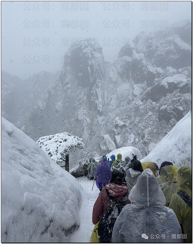 大批游客黄山爬山，不惧“急冻”，万丈摔倒画面曝；奶奶89岁，听信毒视频造谣，怕自己长寿折儿孙寿命，吞药了（视频/组图） - 3