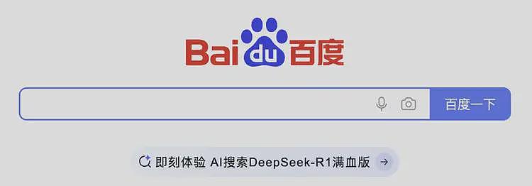 DeepSeek一夜把百度干回20年前，网友：还有这好事？（组图） - 18