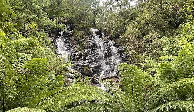 澳洲有座“失望山”，曾建数个战犯营以安置意大利俘虏（组图） - 5