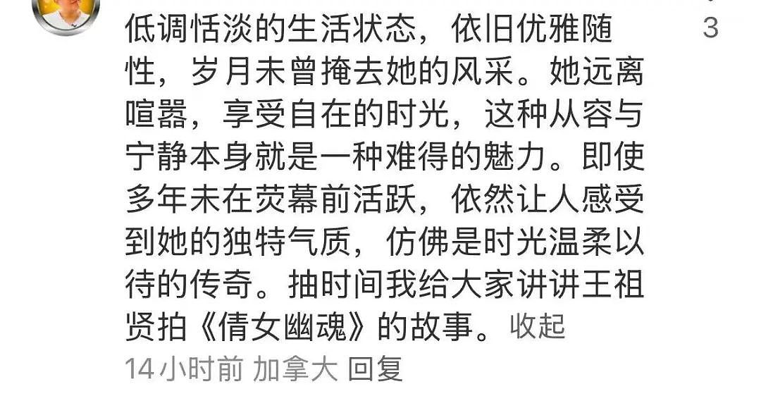 王祖贤在温哥华创业开艾灸馆，亲自为顾客服务，被爆拥$10亿资产，钱一辈子花不完（组图） - 16