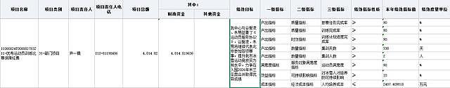 谷爱凌朱易年度训练保障经费4814万！将代表北京参赛（组图） - 2