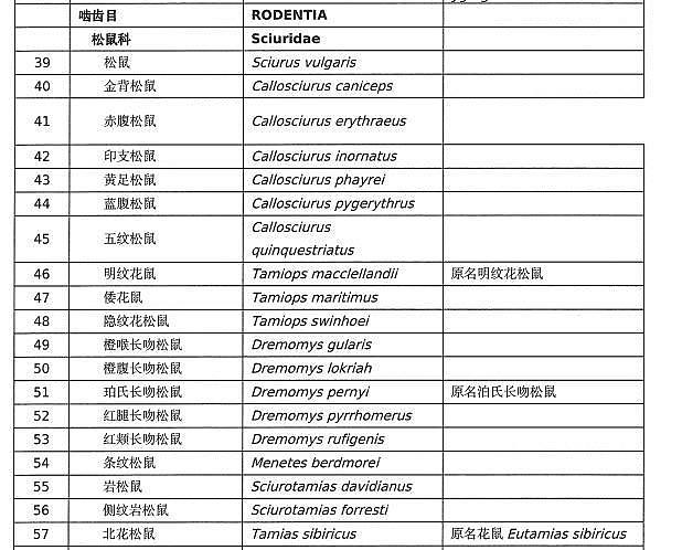 网友看《哪吒》后网购土拨鼠引全网担忧，相关部门发声（组图） - 4