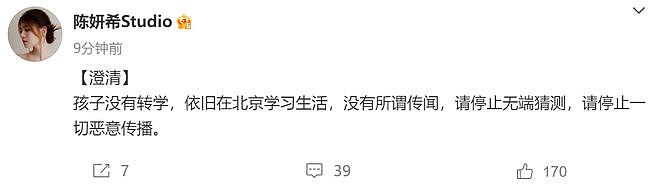 陈妍希否认给孩子转学，怒斥相关谣言，热爱内地曾送孩子学武术（组图） - 3