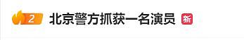 北京警方抓获“演员王某”，冲上热搜！案件详情公布（组图） - 1