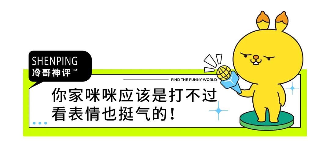 【爆笑】半夜总感觉胸口怪怪的，安了监控才发现居然是流浪的“小黄毛”...（组图） - 3