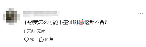 飞到一半，新西兰签证被取消？还有人被关“小黑屋”！华人网友：澳洲也会问行程，申请要谨慎（组图） - 7