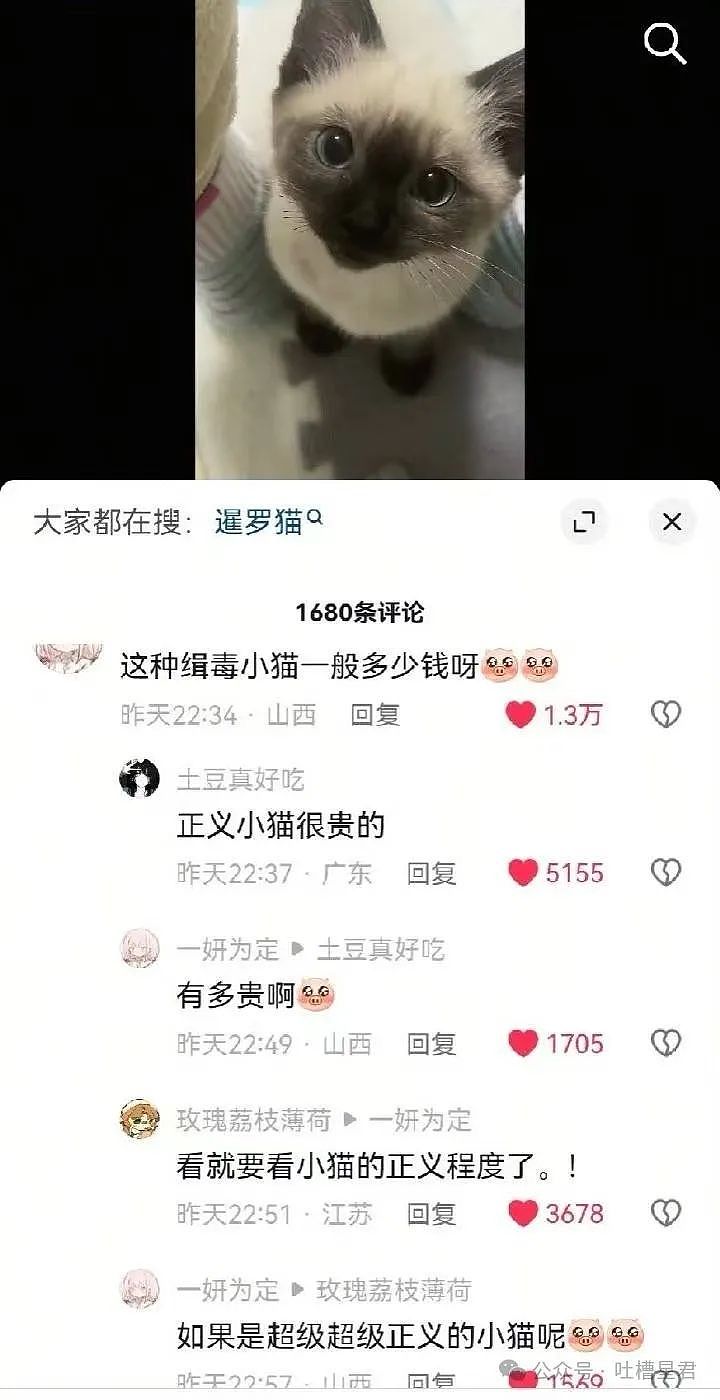 【爆笑】关于收到男朋友送的猪头鲜花...猪：好看吗，拿命换的...（组图） - 54