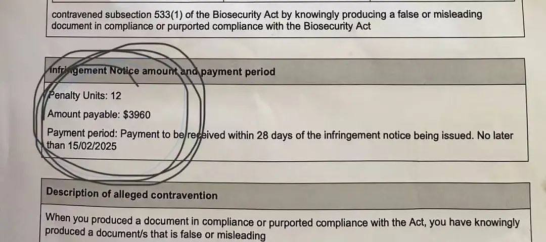 华人携常见药品入境被拘留！ 加国机场严查这药！ 这些易踩雷： 罚款、遣返， 还可能更严重…（组图） - 4