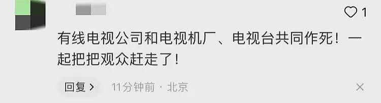 闹大了！人大代表为电视开机率低着急，说出老百姓心声！评论炸锅（组图） - 13