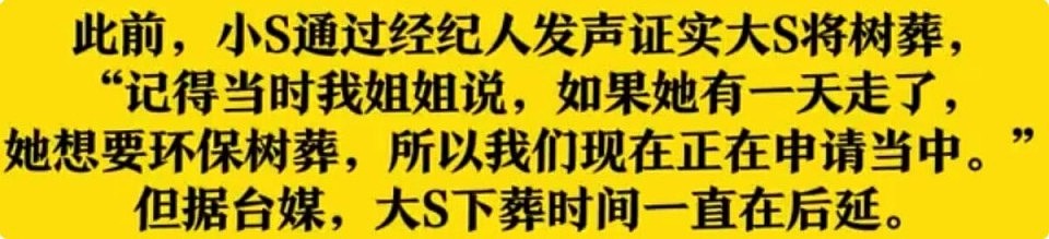 大S离世25天，王伟忠罕见发声，言辞犀利，句句都说到了粉丝心里（组图） - 14