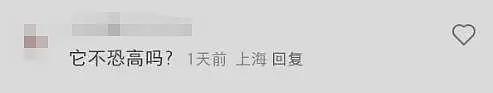 笑发财了！上海“新地标”居然是一只哈士奇？网友狂晒偶遇照（组图） - 12