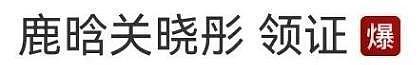 再被疑分手的鹿晗：“顶流”期官宣损失百亿，35岁被限流路在何方（组图） - 37