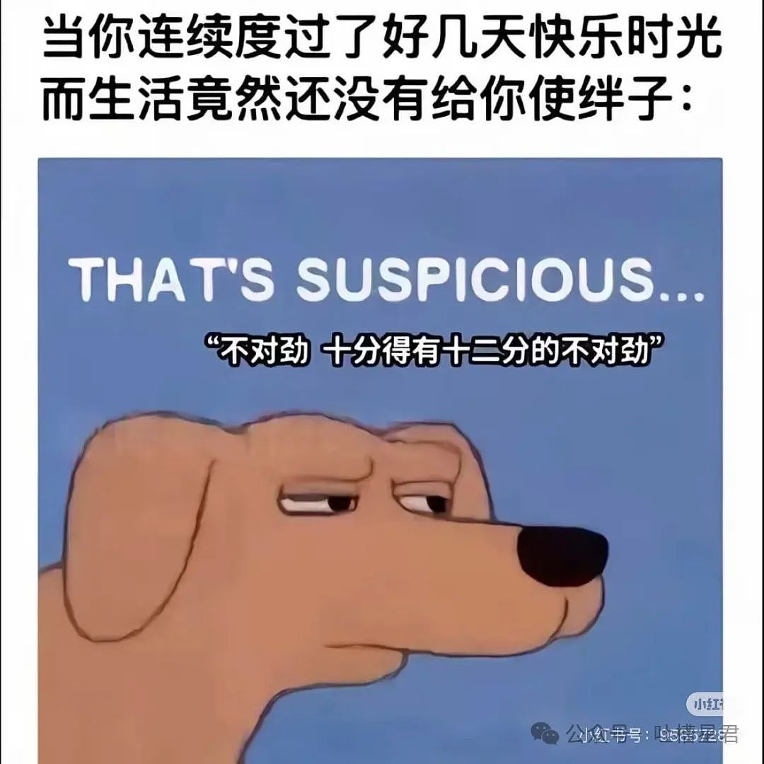 【爆笑】网恋三个月男友突然去世了...？网友：转账后会出现医学奇迹（组图） - 21