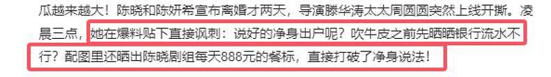 陈晓陈妍希被曝离婚内幕，离不开三个字，女方爆哭三天现状态回归（组图） - 9